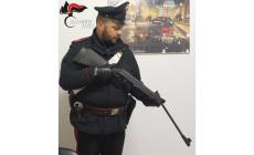 Spara a tre cani con una carabina ad aria compressa: denunciato 59enne a Traversetolo 