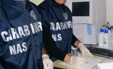 Controlli dei Nas nelle strutture per anziani di Parma:  rilevate alcune  criticità e alcune infrazioni
