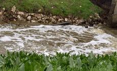 Inquinamento nel  torrente Rigosa a Fontanelle di Roccabianca