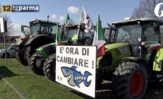 Nuova protesta, ecco le richieste degli agricoltori - Video