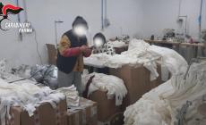 Il casolare diventa un laboratorio tessile: due denunciati, multe fino a 150mila euro e stabile sequestrato a Colorno 