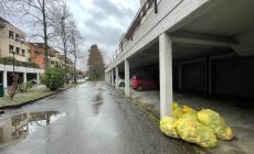 Via Montebello: i sacchi della plastica sono ancora in strada 