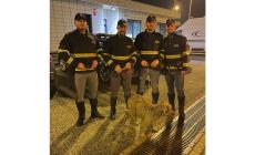 Polizia salva un cane sull'A4 nel Novarese, multato il proprietario