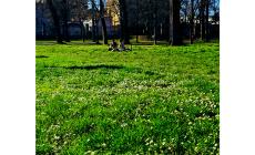 Al  Parco Ducale è arrivata la primavera (con un po' di anticipo)