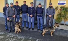 Fidenza: stazione pi&ugrave; sicura con i controlli  di  Polfer e Unit&agrave; cinofile della Guardia di Finanza