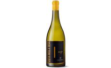 Ca’ del Bosco Selva della Tesa 2019: tutta l'opulenza dello Chardonnay voluttuoso e unico 
