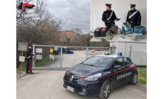 Rubano all&rsquo;interno dell&rsquo; isola ecologica. Denunciata coppia di moldavi