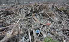 Dopo le piene, nel Po montagne di detriti e rifiuti