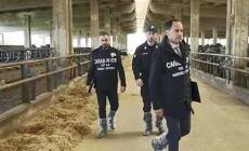Frode negli aiuti agricoli Ue, sequestrati beni per 2,8 milioni dai carabinieri di Parma