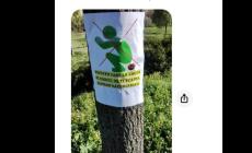 Via Milano, il parco diventa una toilette a cielo aperto: e qualche cittadino chiede... rispetto