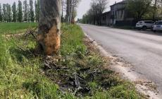 Schianto nella notte, auto contro un albero a Chiozzola, morto parmigiano 39enne