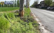 Chiozzola, auto si schianta contro un platano: morto un 39enne - Video