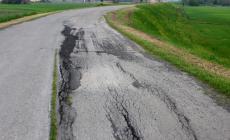 Disastrosa situazione su argine maestro del Po