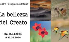 "La bellezza del Creato": mostra fotografica diffusa 