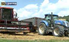 Cibo biologico: nasce il distretto Parma Bio Valley