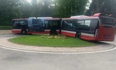 Salsomaggiore: il bus si «incastra» nella rotatoria del parco Mazzini  (dove non doveva transitare)