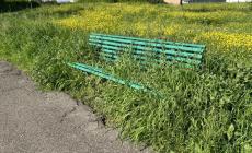 Erba alta in città, continuano a «piovere»  le segnalazioni 