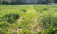 Sfalci alterni al parco Falcone Borsellino
