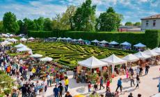 Da giovedì 25 a domenica 28 aprile torna, nel parco della Reggia di Colorno,  "Nel Segno del Giglio"