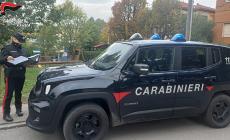 Carica la spesa  in auto e le  rubano la borsetta che aveva lasciato sul sedile. Presa una coppia di sudamericani specializzati in questi colpi