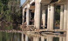 Po,  vere e proprie "legnaie" sotto il ponte Verdi - Foto
