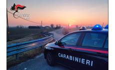 34 carcasse di auto, pneumatici e altri rifiuti: denuncia  e multa per il titolare di una ditta di Fidenza