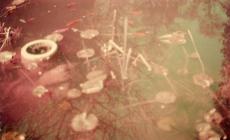 Silenti: la mostra fotografica di Rita Rozzi, a cura di Alessandra Azzolini