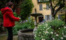 Interno Verde: il fascino e la bellezza dei giardini di Parma - Le foto