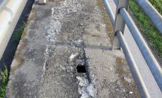 Ponte Verdi, il "grande malato": tra buche, erbacce e... sorpassi vietati - Le foto
