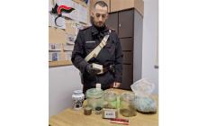  Nascondevano in auto e in casa piante di marjuana e hashish. Arrestati due italiani