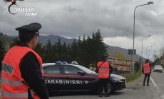 Neopatentato fa un incidente,  la causa? aveva bevuto troppo. Denunciato, patente ritirata, 20 punti tolti