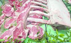 E carne sia: black angus in tutti i tagli 