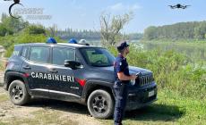 Auto, mezzi agricoli abbandonati, materiali edili: scoperta una discarica abusiva a ridosso del Ceno nella zona di Bardi 