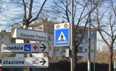 Allarme rami pericolanti in via Fleming: intervengono i vigili del fuoco