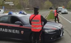 L'sms non è della banca, ma la donna ci casca: conto prosciugato, denunciata una 20enne