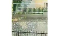 Giornata "no" per Sala Baganza: dopo il terremoto la grandinata - video