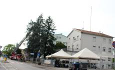 Pino danneggiato dal maltempo: intervento dei vigili del fuoco davanti alla sede della Polstrada di Fidenza 