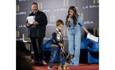 Cani in passerella,  uno spettacolo per grandi e piccoli - Foto