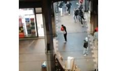 Rissa in Ghiaia, identificati 4  giovani, perquisite le loro abitazioni e indagati - Video