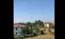 Mulinello d'aria a Mariano - Video