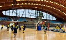 Le piccole-grandi "olimpiadi" di Salso, Fidenza, Busseto e Noceto: due giorni di "Play the game", sport ed inclusione