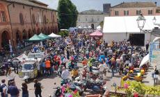 Polesine Zibello: la «Festa del Culatello» si chiude con un successo