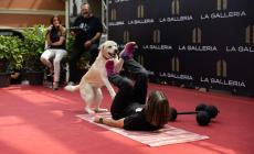 «The Great Dog Show»: le foto della finale