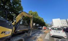 Apre il maxi-cantiere di via Torelli, lavori anche in via Mantova e viale Piacenza - Video 