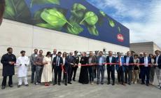 Barilla, l&rsquo;artista Marianna Tomaselli spiega come &egrave; nato il murales dedicato al pesto - Video