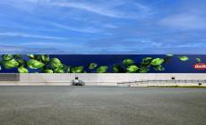 Barilla, il murales di Rubbiano in timelapse - Video