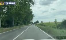 Schianto a Stradella: la vittima, un ingegnere 40enne che lavorava in Dallara - Video
