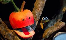 &ldquo;SPAZI D&rsquo;OZIO 2024&rdquo; seconda settimana di programmazione