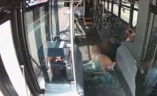 Un cervo sfonda il parabrezza di un bus in Rhode Island, la scena da panico- Video