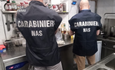 Carenze igieniche in un locale a Montechiarugolo, 5mila euro di multa e 30 chili di carne sequestrati